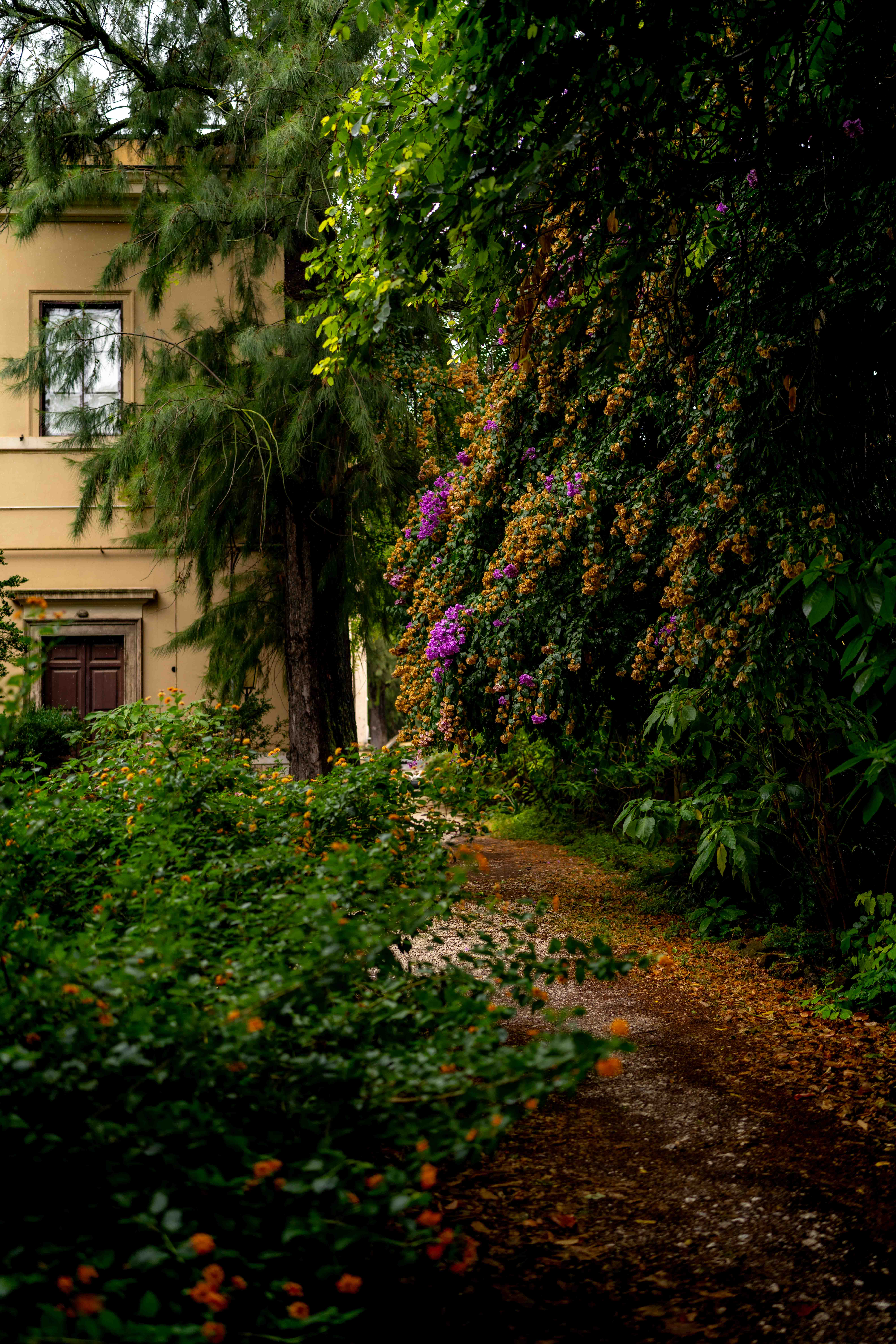 Photos from travel in Rome, Florence, Venice, Fall 2025.